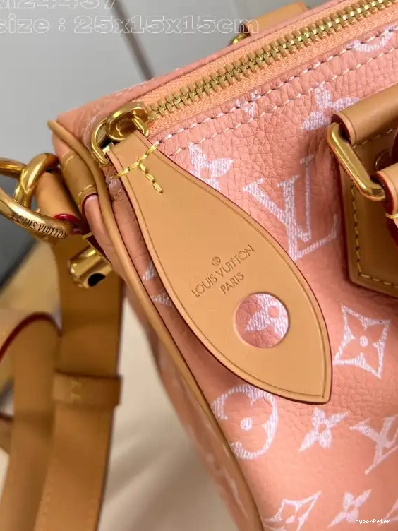 SPEEDY Louis Vuitton 25 0706